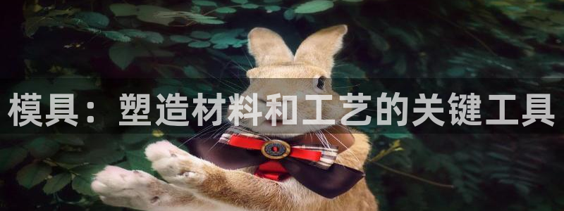 太阳gg打不开了吗：模具：塑造材料和工艺的关键工具
