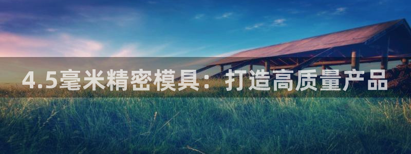 太阳成集团娱乐网站：4.5毫米精密模具：打造高质量产品