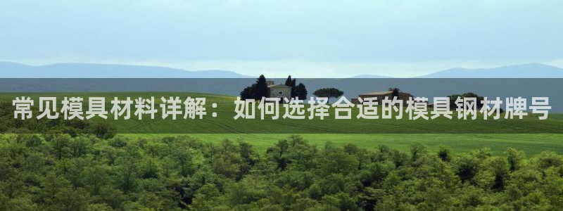 太阳gg注册登录：常见模具材料详解：如何选择合适的模具钢材牌号