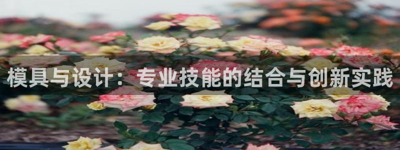 太阳app免费下载官方网站：模具与设计：专业技能的结合与创新实践