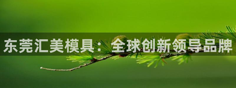 suncitygroup太阳集团：东莞汇美模具：全球创新领导品牌