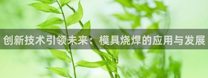太阳集团游戏官方网址8827：创新技术引领未来：模具烧焊的应用与发展