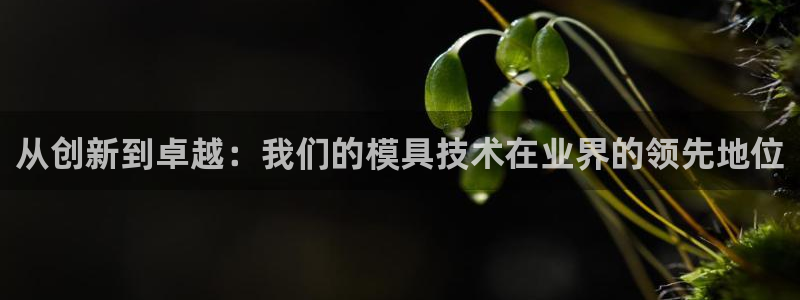 太阳集团城入口：从创新到卓越：我们的模具技术在业界的领先地位
