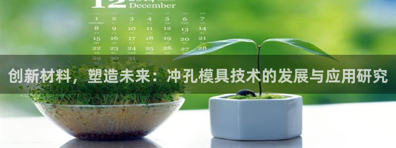 太阳诚集团是干什么的：创新材料，塑造未来：冲孔模具技术的发展与应用研究