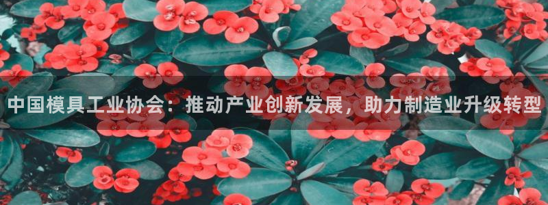 太阳影业投资：中国模具工业协会：推动产业创新发展，助力制造业升级转型