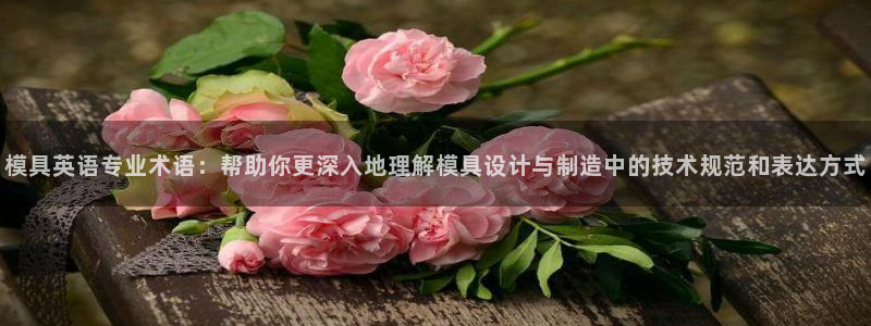 太阳gg注册登录：模具英语专业术语：帮助你更深入地理解模具设计与制造中的技术规范和表达方式