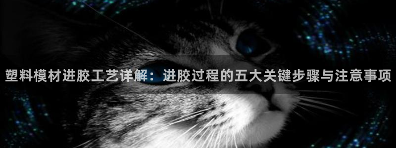 太阳集团sungroup