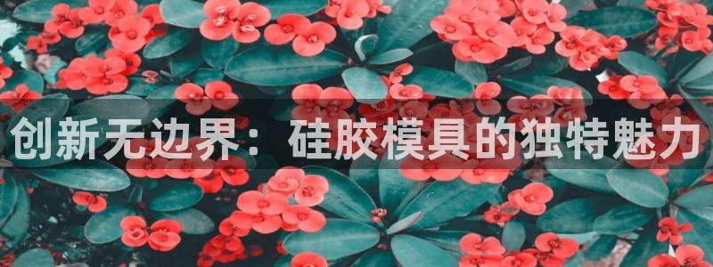 太阳集团2018登录网址：创新无边界：硅胶模具的独特魅力