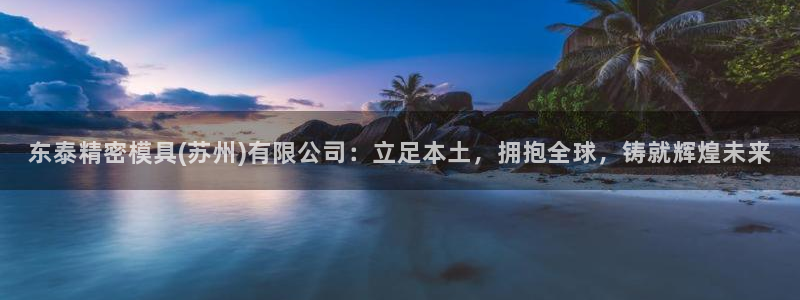 太阳董事长：东泰精密模具(苏州)有限公司：立足本土，拥抱全球，铸就辉煌未来