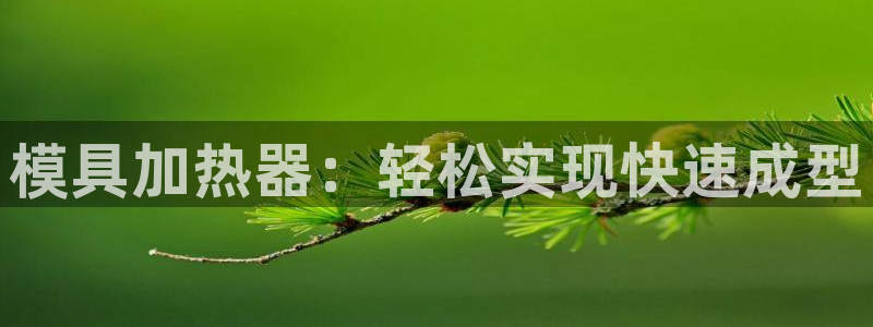 太阳诚集团有限公司地址：模具加热器：轻松实现快速成型