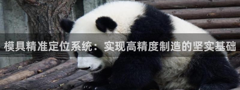 太阳成集团控股