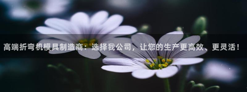 太阳成集团tyc234cc振兴