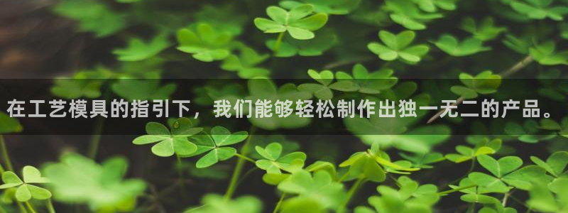 15vip太阳集团登录：在工艺模具的指引下，我们能够轻松制作