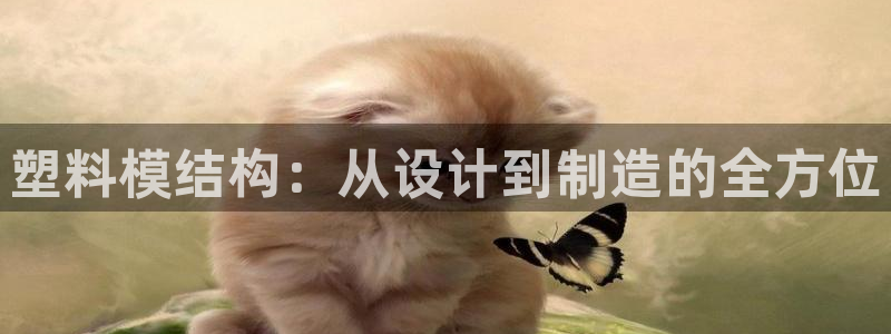 太阳1城集团网址查询：塑料模结构：从设计到制造的全方位