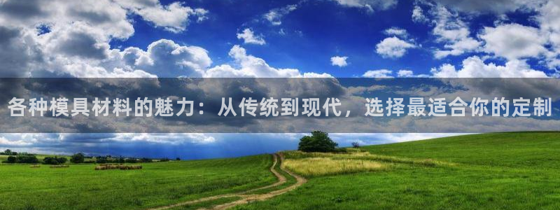 太阳股份有限公司：各种模具材料的魅力：从传统到现代，选择最适