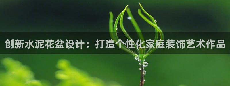 太阳成集团tyc1050：创新水泥花盆设计：打造个性化家庭装