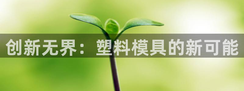 太阳2注册官网下载：创新无界：塑料模具的新可能