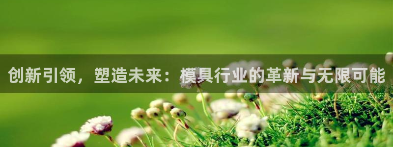 太阳集团董事长是谁?：创新引领，塑造未来：模具行业的革新与无