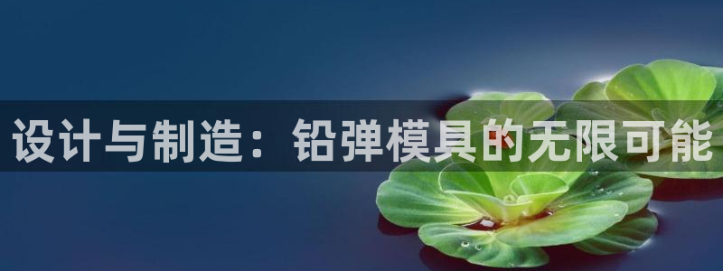 太阳成集团tyc7111cc电影：设计与制造：铅弹模具的无限可能