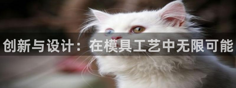 太阳集团股份有限公司官网