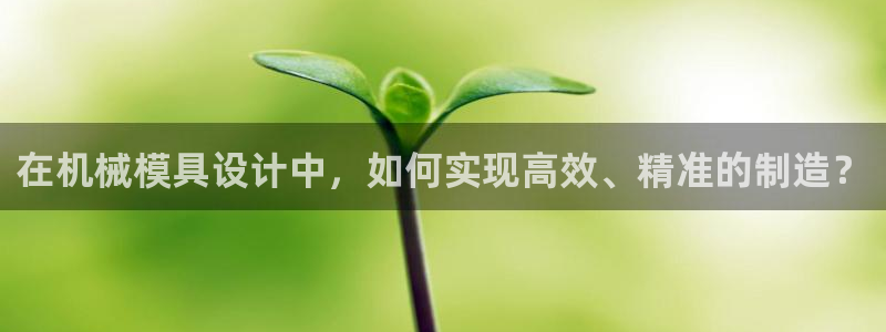 太阳成集团tyc122cc：在机械模具设计中，如何实现高效、精准的制造？