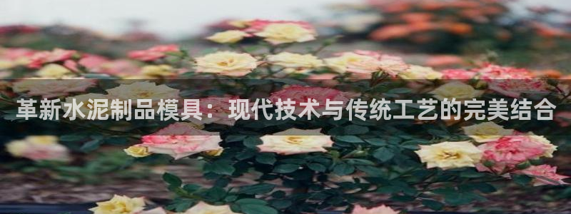 太阳成集团tyc234cc福利：革新水泥制品模具：现代技术与传统工艺的完美结合