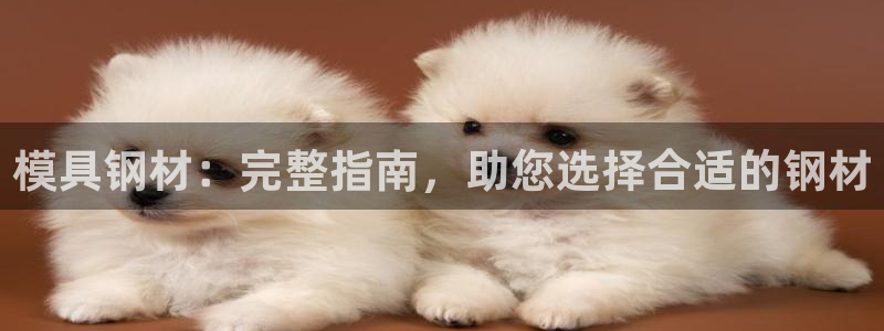太阳国际游戏平台：模具钢材：完整指南，助您选择合适的钢材