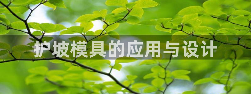 太阳集团电子游戏官方网站：护坡模具的应用与设计