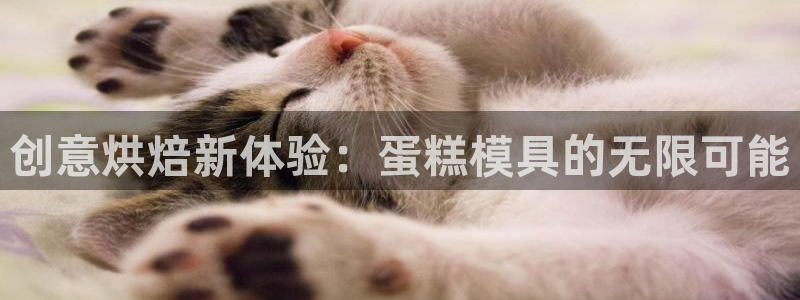 高淳红太阳集团：创意烘焙新体验：蛋糕模具的无限可能