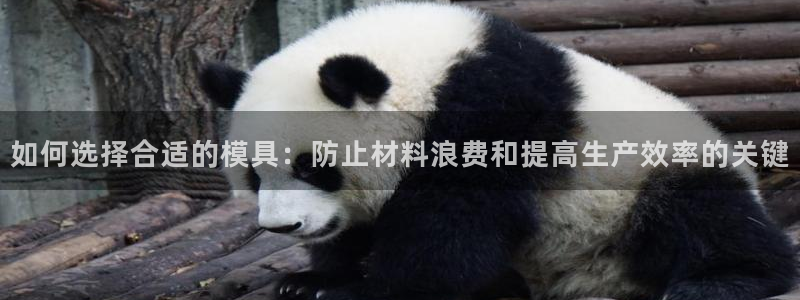 太阳成集团视频：如何选择合适的模具：防止材料浪费和提高生产效