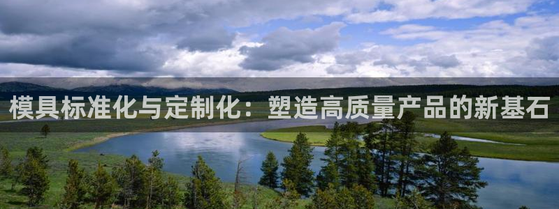 太阳集团游戏2138网站：模具标准化与定制化：塑造高质量产品的新基石
