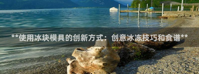 太阳集团电子游戏老板：**使用冰块模具的创新方式：创意冰冻技巧和食谱**
