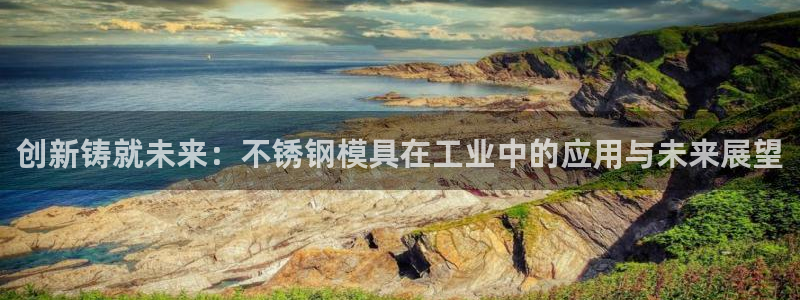 太阳成集团tyc234cc官网：创新铸就未来：不锈钢模具在工业中的应用与未来展望