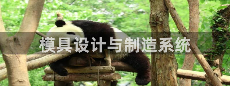 太阳诚集团有限公司是国企吗还是央企：模具设计与制造系统