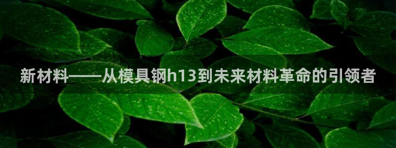 太阳阳城集团有限公司：新材料——从模具钢h13到未来材料革命的引领者