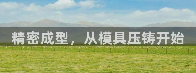 太阳成集团网站5