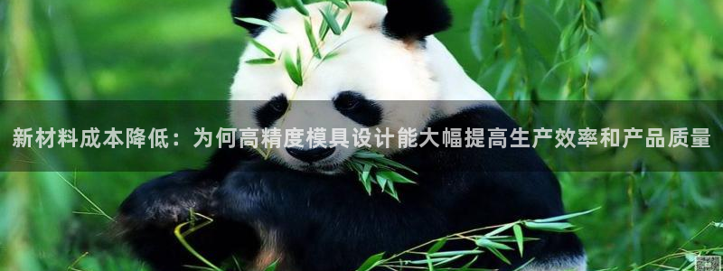 太阳集团董事长的儿子