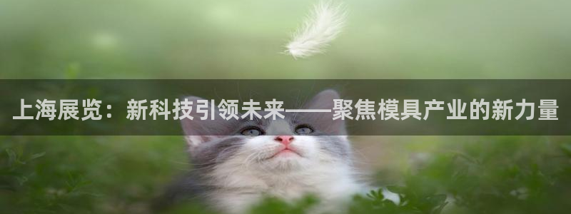 太阳集团娱乐网8722手机登录