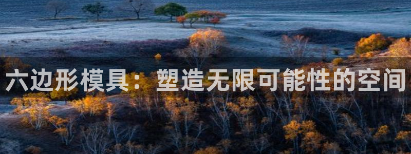 太阳成集团电影：六边形模具：塑造无限可能性的空间