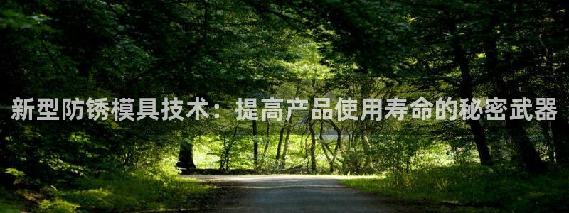 太阳诚集团有限公司：新型防锈模具技术：提高产品使用寿命的秘密武器