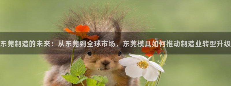 太阳集市网上商城：东莞制造的未来：从东莞到全球市场，东莞模具