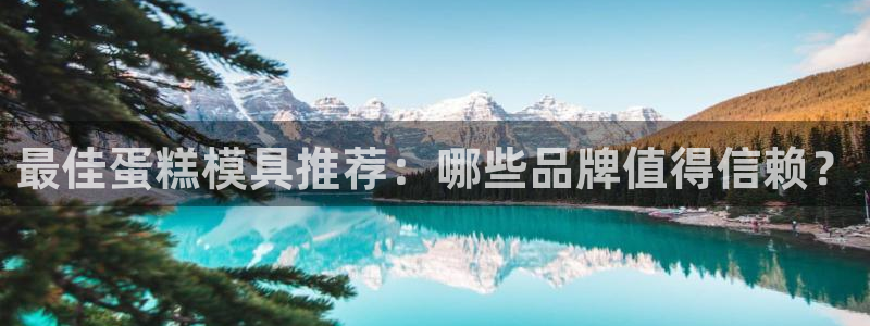 太阳2平台app下载：最佳蛋糕模具推荐：哪些品牌值得信赖？