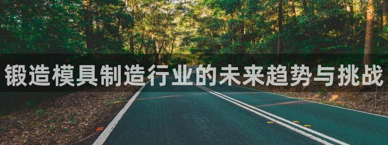 太阳集团电子游戏登录：锻造模具制造行业的未来趋势与挑战