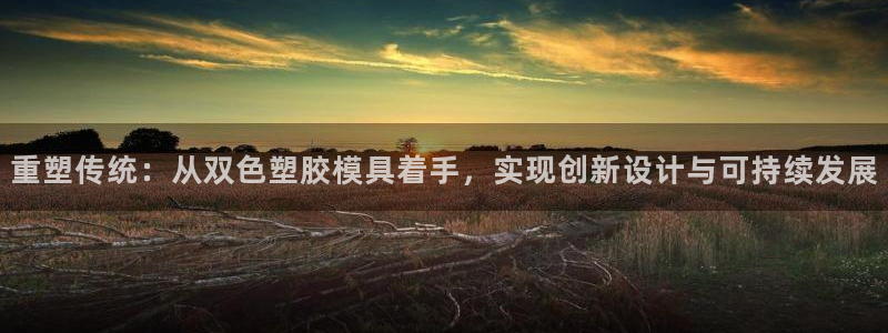 太阳集团城网址娱网：重塑传统：从双色塑胶模具着手，实现创新设计与可持续发展