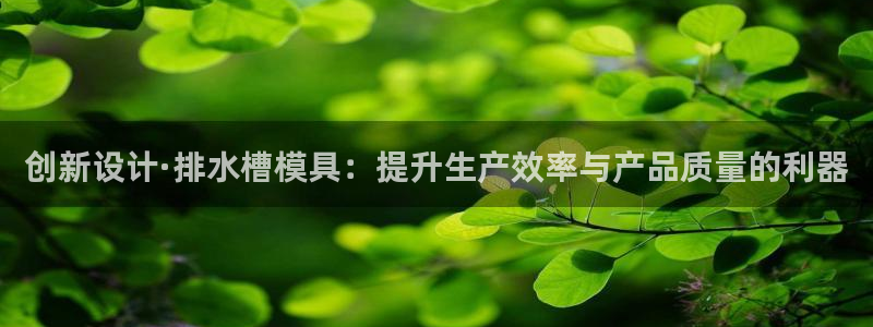 太阳成集团tyc151：创新设计·排水槽模具：提升生产效率与产品质量的利器