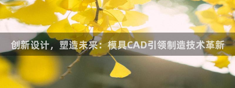 太阳诚集团APP在线观看：创新设计，塑造未来：模具CAD引领制造技术革新
