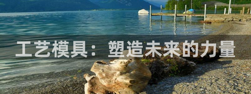 太阳股份有限公司