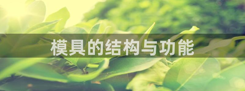 澳门太阳集团老板洗米华：模具的结构与功能