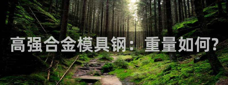 太阳集团股份有限公司招聘：高强合金模具钢：重量如何?