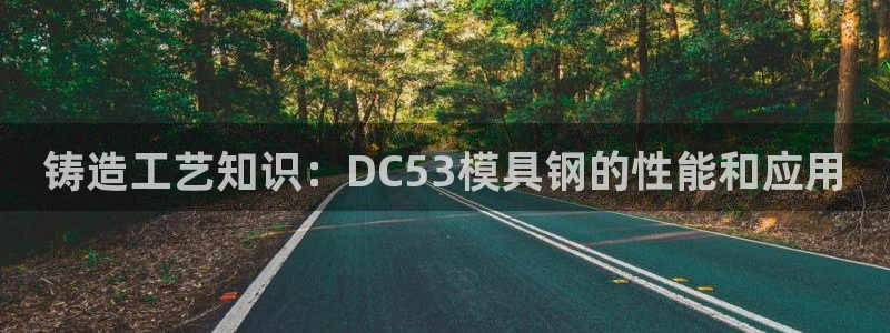 太阳集团在中国合法吗：铸造工艺知识：DC53模具钢的性能和应用